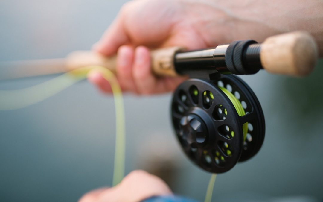 Rods, Reels & Bait – The Best of Our Fishing Gear