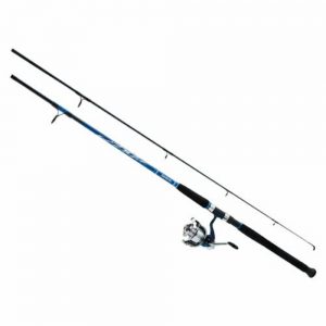 Daiwa 9' D-Wave Salmon Rod/Reel Combo